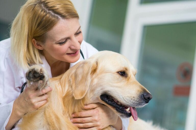 PET Therapy e benessere oncologico
